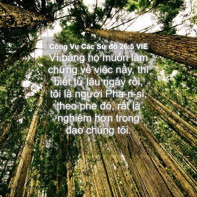 Picture 04 - Công Vụ Các Sứ đồ 26:5 VIE - Ví bằng họ muốn làm chứng về việc - Bible Verse Picture