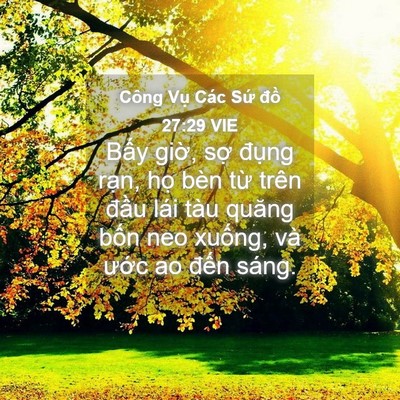 Picture 04 - Công Vụ Các Sứ đồ 27:29 VIE - Bấy giờ, sợ đụng rạn, họ bèn từ - Bible Verse Picture