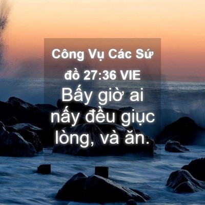 Picture 04 - Công Vụ Các Sứ đồ 27:36 VIE - Bấy giờ ai nấy đều giục lòng, và - Bible Verse Picture