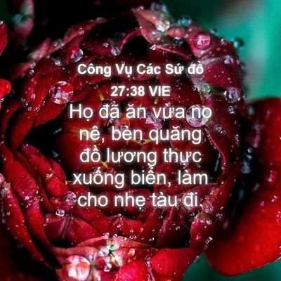 Picture 04 - Công Vụ Các Sứ đồ 27:38 VIE - Họ đã ăn vừa no nê, bèn quăng đồ - Bible Verse Picture