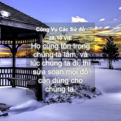 Picture 04 - Công Vụ Các Sứ đồ 28:10 VIE - Họ cũng tôn trọng chúng ta lắm, và lúc - Bible Verse Picture