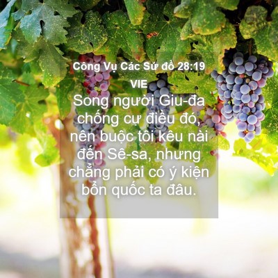 Picture 04 - Công Vụ Các Sứ đồ 28:19 VIE - Song người Giu-đa chống cự điều đó, - Bible Verse Picture