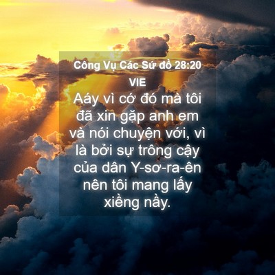 Picture 04 - Công Vụ Các Sứ đồ 28:20 VIE - Aáy vì cớ đó mà tôi đã xin gặp anh em - Bible Verse Picture