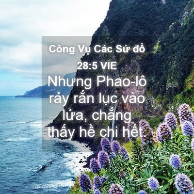 Picture 04 - Công Vụ Các Sứ đồ 28:5 VIE - Nhưng Phao-lô rảy rắn lục vào lửa, - Bible Verse Picture