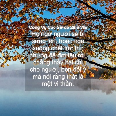 Picture 04 - Công Vụ Các Sứ đồ 28:6 VIE - Họ ngờ người sẽ bị sưng lên, hoặc - Bible Verse Picture