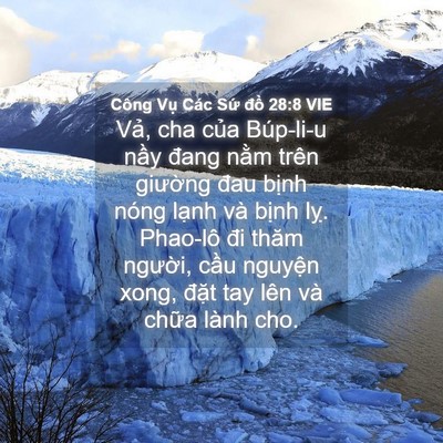 Picture 04 - Công Vụ Các Sứ đồ 28:8 VIE - Vả, cha của Búp-li-u nầy đang nằm trên - Bible Verse Picture