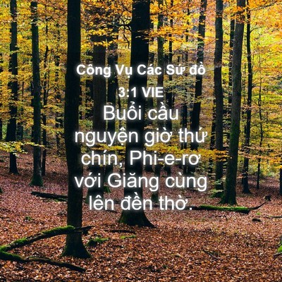 Picture 04 - Công Vụ Các Sứ đồ 3:1 VIE - Buổi cầu nguyện giờ thứ chín, - Bible Verse Picture