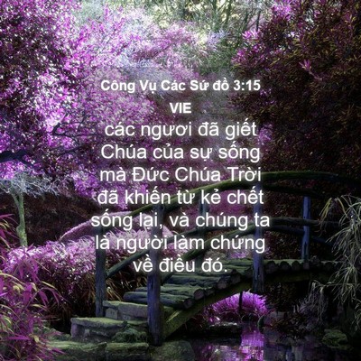 Picture 04 - Công Vụ Các Sứ đồ 3:15 VIE - các ngươi đã giết Chúa của sự sống - Bible Verse Picture