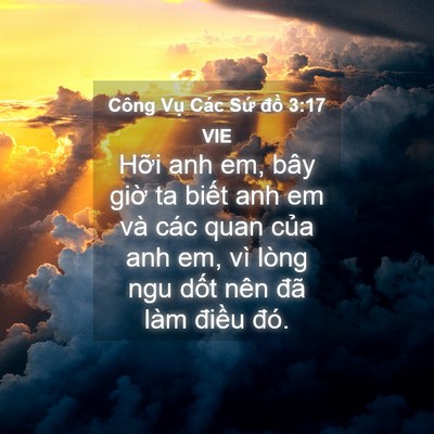 Picture 04 - Công Vụ Các Sứ đồ 3:17 VIE - Hỡi anh em, bây giờ ta biết anh em và - Bible Verse Picture