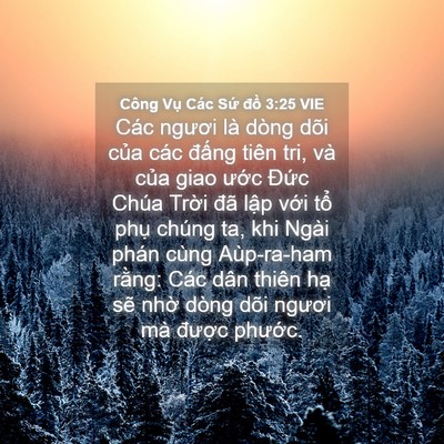 Picture 04 - Công Vụ Các Sứ đồ 3:25 VIE - Các ngươi là dòng dõi của các đấng - Bible Verse Picture