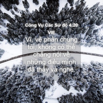 Picture 04 - Công Vụ Các Sứ đồ 4:20 VIE - Vì, về phần chúng tôi, không có thể - Bible Verse Picture