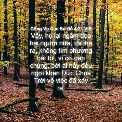 Picture 04 - Công Vụ Các Sứ đồ 4:21 VIE - Vậy, họ lại ngăm dọa hai người nữa, - Bible Verse Picture