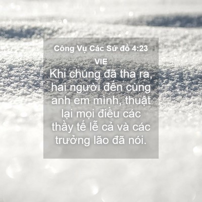 Picture 04 - Công Vụ Các Sứ đồ 4:23 VIE - Khi chúng đã tha ra, hai người đến cùng - Bible Verse Picture