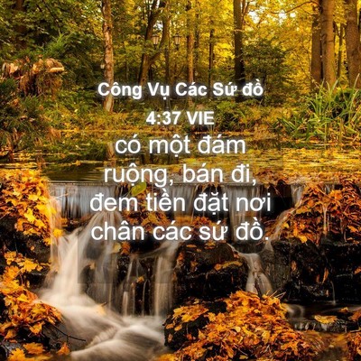 Picture 04 - Công Vụ Các Sứ đồ 4:37 VIE - có một đám ruộng, bán đi, đem tiền - Bible Verse Picture