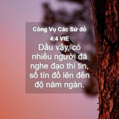 Picture 04 - Công Vụ Các Sứ đồ 4:4 VIE - Dầu vậy, có nhiều người đã nghe - Bible Verse Picture