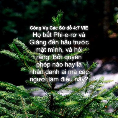 Picture 04 - Công Vụ Các Sứ đồ 4:7 VIE - Họ bắt Phi-e-rơ và Giăng đến hầu - Bible Verse Picture