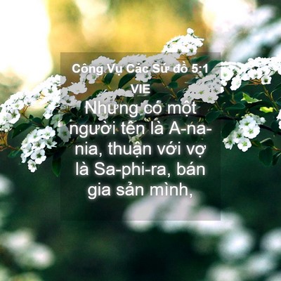 Picture 04 - Công Vụ Các Sứ đồ 5:1 VIE - Nhưng có một người tên là A-na-nia, - Bible Verse Picture