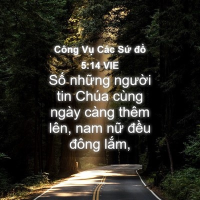 Picture 04 - Công Vụ Các Sứ đồ 5:14 VIE - Số những người tin Chúa cùng ngày càng - Bible Verse Picture