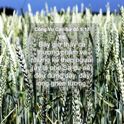 Picture 04 - Công Vụ Các Sứ đồ 5:17 VIE - Bấy giờ thầy cả thượng phẩm và - Bible Verse Picture