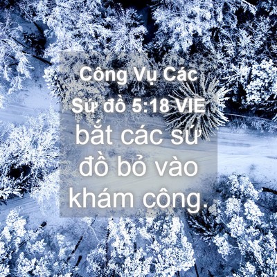 Picture 04 - Công Vụ Các Sứ đồ 5:18 VIE - bắt các sứ đồ bỏ vào khám - Bible Verse Picture