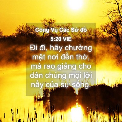 Picture 04 - Công Vụ Các Sứ đồ 5:20 VIE - Đi đi, hãy chường mặt nơi đền thờ, - Bible Verse Picture