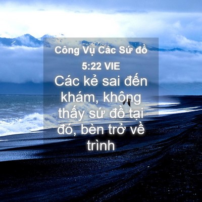 Picture 04 - Công Vụ Các Sứ đồ 5:22 VIE - Các kẻ sai đến khám, không thấy sứ - Bible Verse Picture