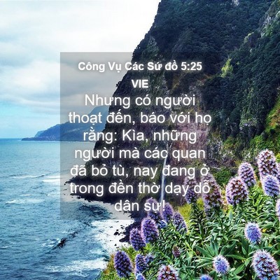 Picture 04 - Công Vụ Các Sứ đồ 5:25 VIE - Nhưng có người thoạt đến, báo với - Bible Verse Picture