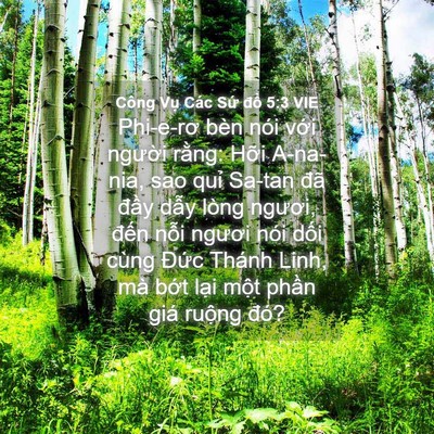 Picture 04 - Công Vụ Các Sứ đồ 5:3 VIE - Phi-e-rơ bèn nói với người rằng: Hỡi - Bible Verse Picture