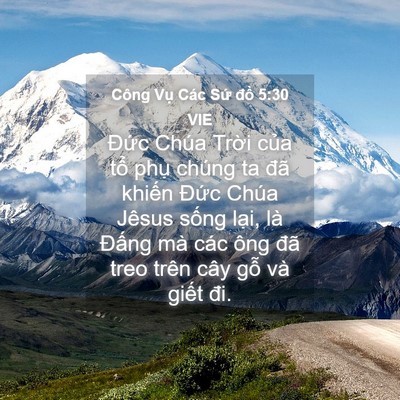 Picture 04 - Công Vụ Các Sứ đồ 5:30 VIE - Đức Chúa Trời của tổ phụ chúng ta - Bible Verse Picture