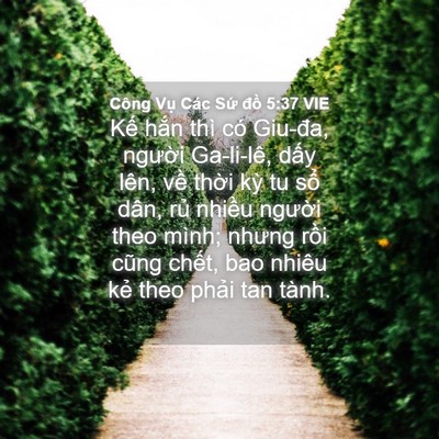 Picture 04 - Công Vụ Các Sứ đồ 5:37 VIE - Kế hắn thì có Giu-đa, người Ga-li-lê, - Bible Verse Picture