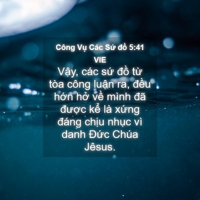 Picture 04 - Công Vụ Các Sứ đồ 5:41 VIE - Vậy, các sứ đồ từ tòa công luận ra, - Bible Verse Picture