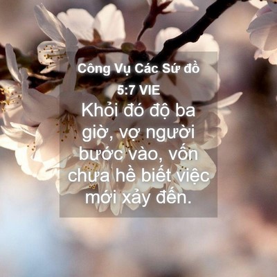 Picture 04 - Công Vụ Các Sứ đồ 5:7 VIE - Khỏi đó độ ba giờ, vợ người bước - Bible Verse Picture
