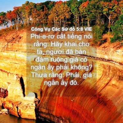 Picture 04 - Công Vụ Các Sứ đồ 5:8 VIE - Phi-e-rơ cất tiếng nói rằng: Hãy khai - Bible Verse Picture
