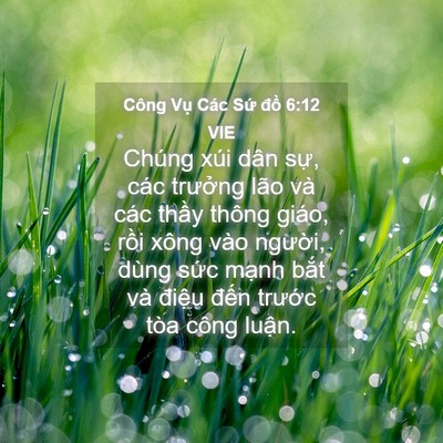 Picture 04 - Công Vụ Các Sứ đồ 6:12 VIE - Chúng xúi dân sự, các trưởng lão và - Bible Verse Picture
