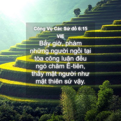 Picture 04 - Công Vụ Các Sứ đồ 6:15 VIE - Bấy giờ, phàm những người ngồi tại - Bible Verse Picture