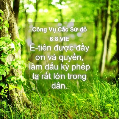 Picture 04 - Công Vụ Các Sứ đồ 6:8 VIE - Ê-tiên được đầy ơn và quyền, làm - Bible Verse Picture