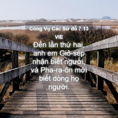 Picture 04 - Công Vụ Các Sứ đồ 7:13 VIE - Đến lần thứ hai, anh em Giô-sép nhận - Bible Verse Picture