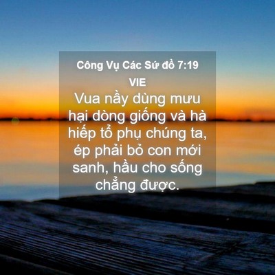 Picture 04 - Công Vụ Các Sứ đồ 7:19 VIE - Vua nầy dùng mưu hại dòng giống và hà - Bible Verse Picture