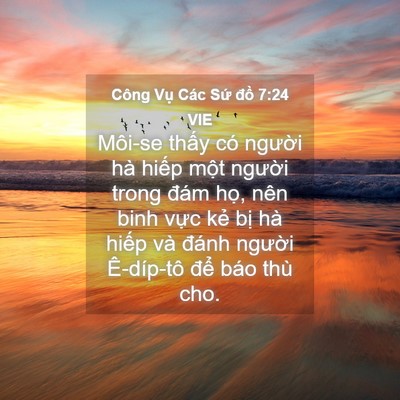 Picture 04 - Công Vụ Các Sứ đồ 7:24 VIE - Môi-se thấy có người hà hiếp một - Bible Verse Picture