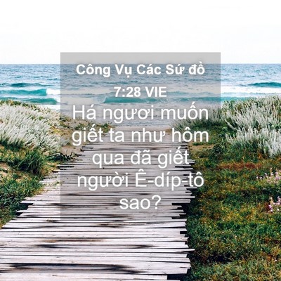 Picture 04 - Công Vụ Các Sứ đồ 7:28 VIE - Há ngươi muốn giết ta như hôm qua đã - Bible Verse Picture