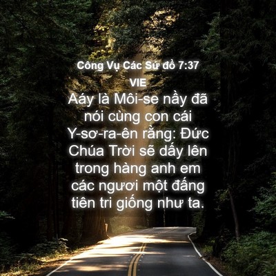Picture 04 - Công Vụ Các Sứ đồ 7:37 VIE - Aáy là Môi-se nầy đã nói cùng con cái - Bible Verse Picture