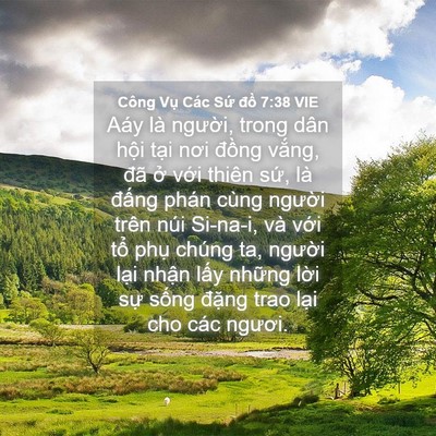 Picture 04 - Công Vụ Các Sứ đồ 7:38 VIE - Aáy là người, trong dân hội tại nơi - Bible Verse Picture
