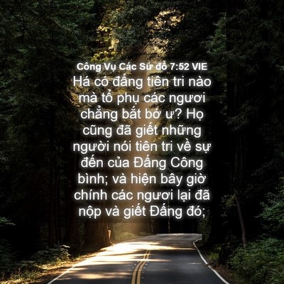 Picture 04 - Công Vụ Các Sứ đồ 7:52 VIE - Há có đấng tiên tri nào mà tổ phụ - Bible Verse Picture