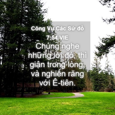Picture 04 - Công Vụ Các Sứ đồ 7:54 VIE - Chúng nghe những lời đó, thì giận trong - Bible Verse Picture