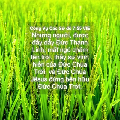 Picture 04 - Công Vụ Các Sứ đồ 7:55 VIE - Nhưng người, được đầy dẫy Đức - Bible Verse Picture