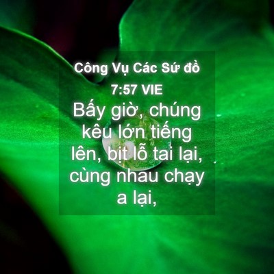 Picture 04 - Công Vụ Các Sứ đồ 7:57 VIE - Bấy giờ, chúng kêu lớn tiếng lên, - Bible Verse Picture