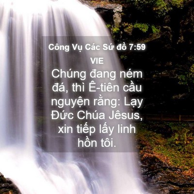 Picture 04 - Công Vụ Các Sứ đồ 7:59 VIE - Chúng đang ném đá, thì Ê-tiên cầu - Bible Verse Picture
