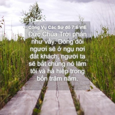Picture 04 - Công Vụ Các Sứ đồ 7:6 VIE - Đức Chúa Trời phán như vầy: Dòng dõi - Bible Verse Picture