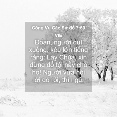 Picture 04 - Công Vụ Các Sứ đồ 7:60 VIE - Đoạn, người quì xuống, kêu lớn - Bible Verse Picture