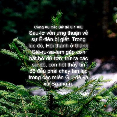 Picture 04 - Công Vụ Các Sứ đồ 8:1 VIE - Sau-lơ vốn ưng thuận về sự Ê-tiên - Bible Verse Picture